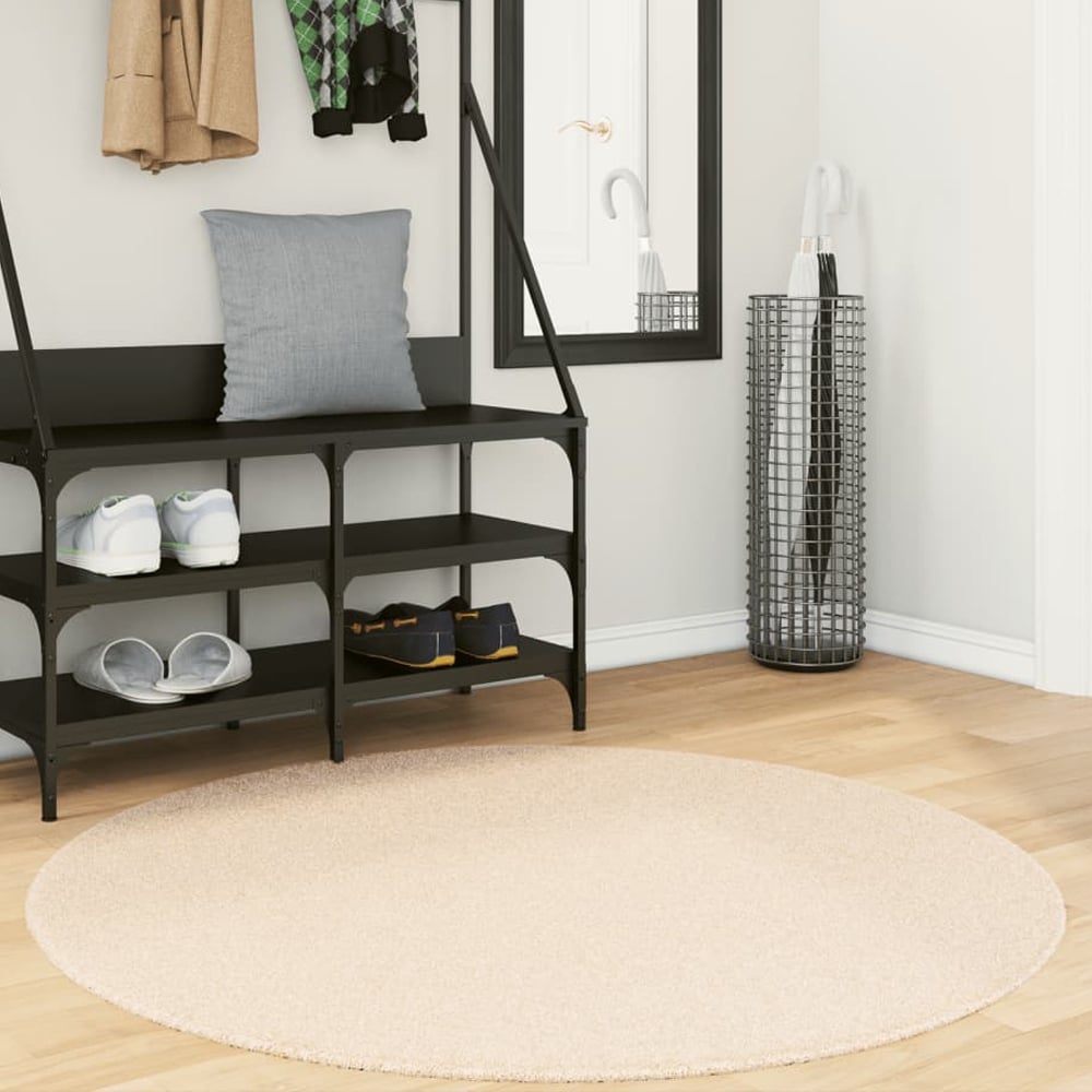 Hopkins 120cm Polyester Round Non-Slip Washable Rug - Beige